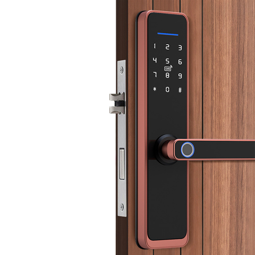  Bronze smart lock 